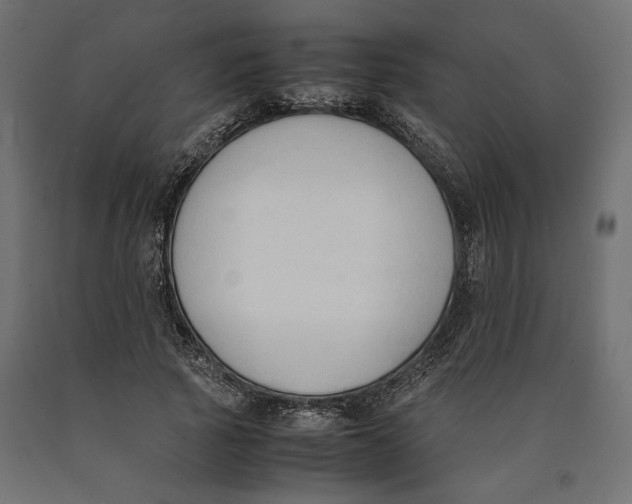 X0000090410737200708031042