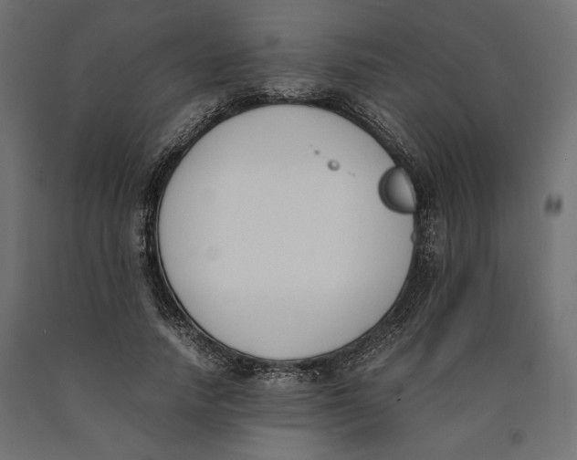 X0000090410738200708031042
