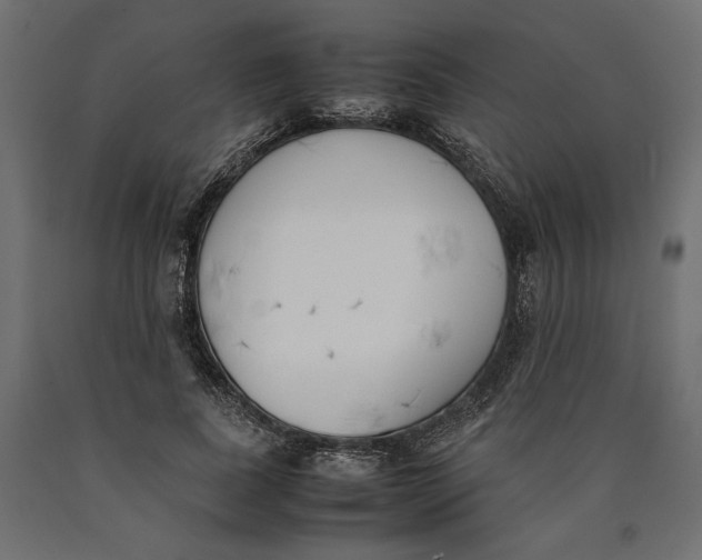 X0000090410739200708031042