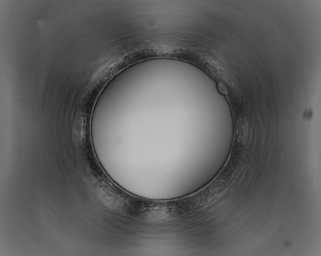 X0000090410740200708031042