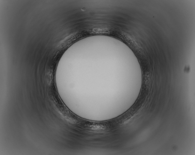 X0000090410741200708031042