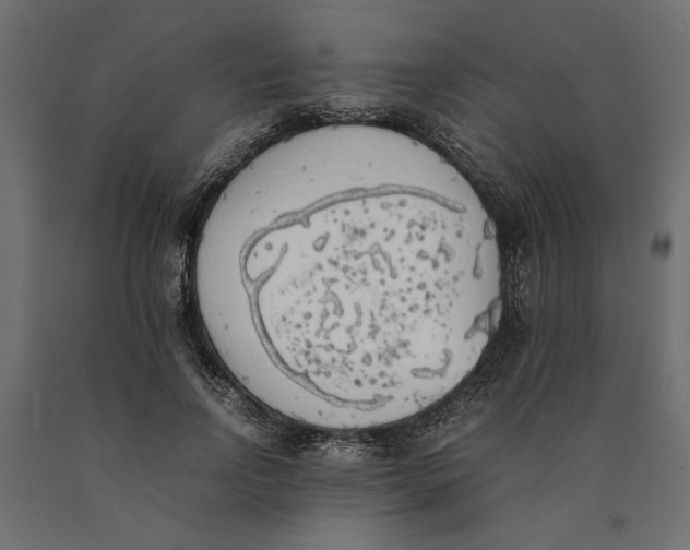 X0000090410742200708031042