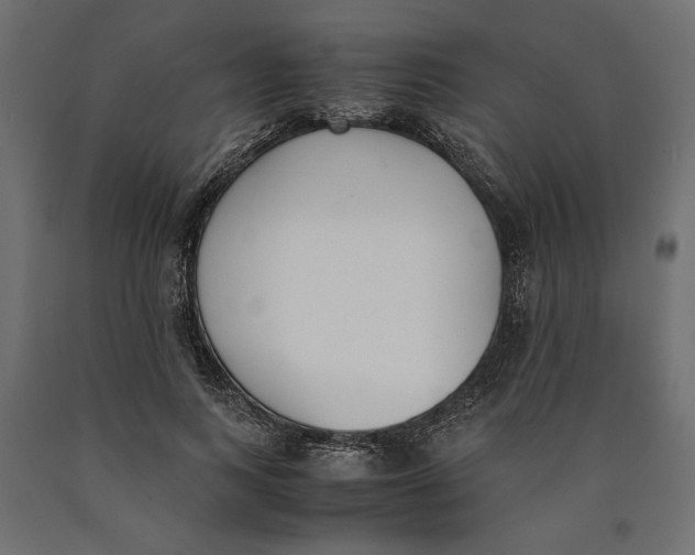 X0000090410743200708031042