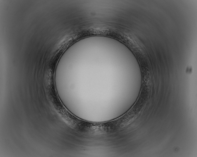 X0000090410744200708031042