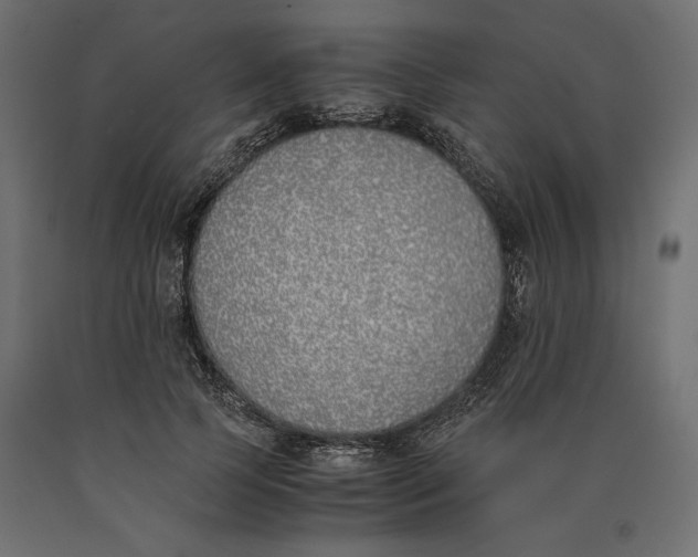 X0000090410745200708031042