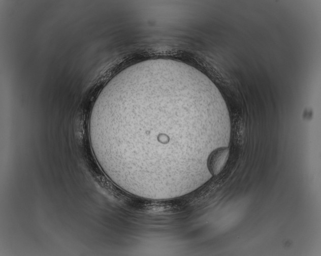 X0000090410746200708031042