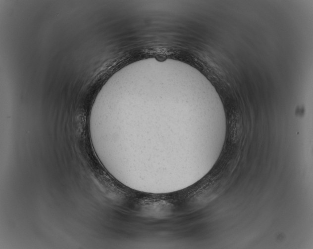 X0000090410747200708031042