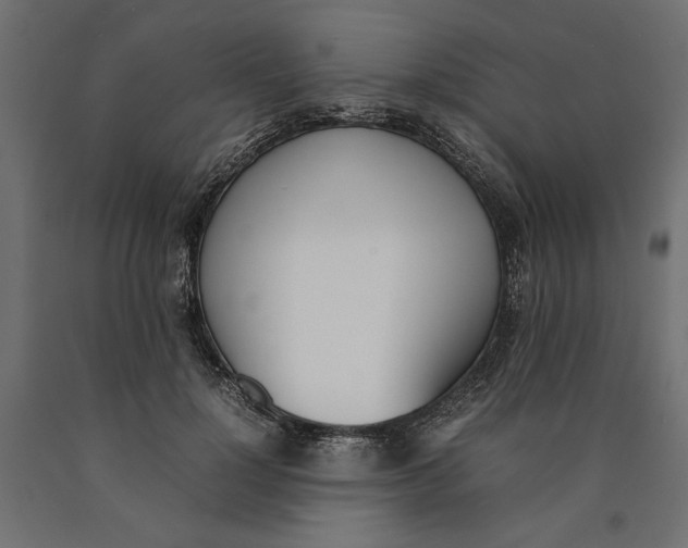 X0000090410748200708031042