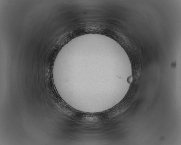 X0000090410749200708031042