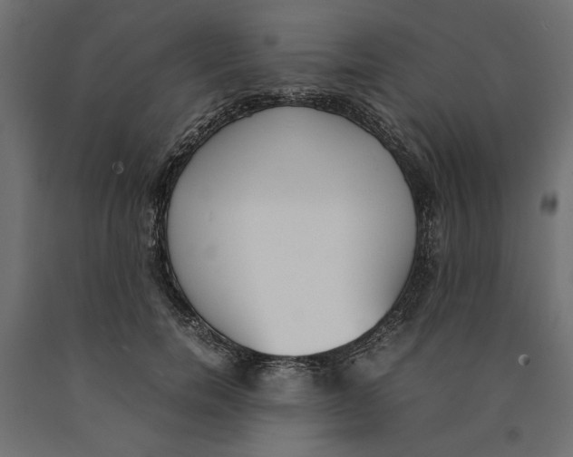X0000090410750200708031042