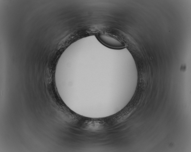 X0000090410751200708031042