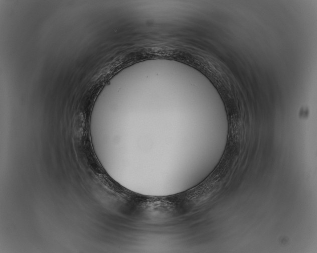 X0000090410752200708031042