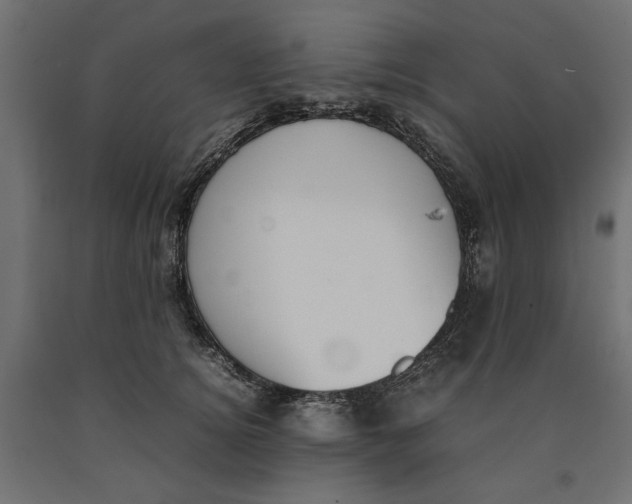 X0000090410756200708031042