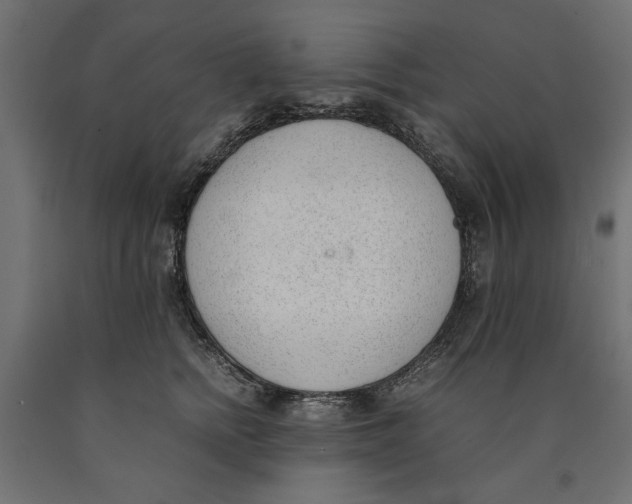X0000090410758200708031042