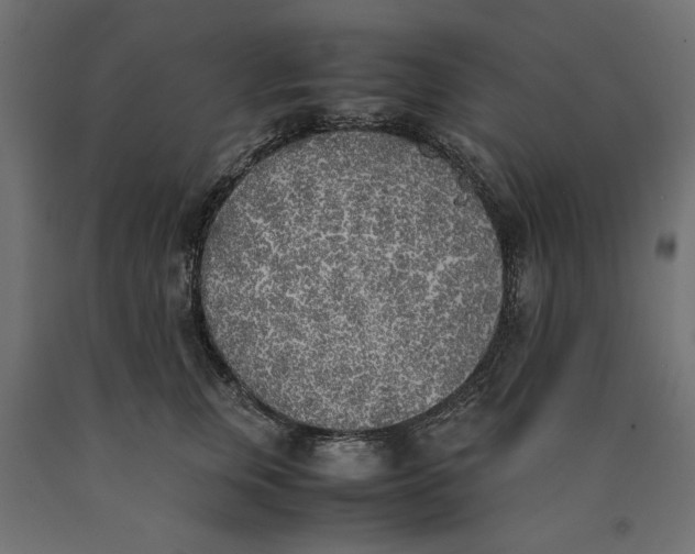 X0000090410759200708031042