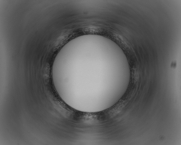 X0000090410760200708031042