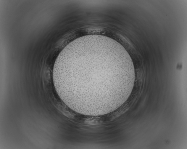 X0000090410761200708031042