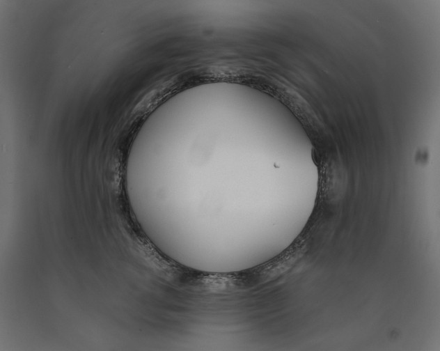 X0000090410762200708031042