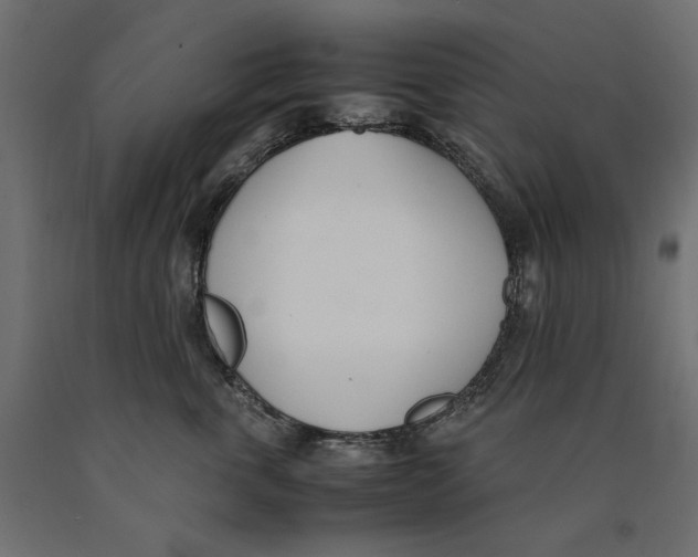 X0000090410763200708031042