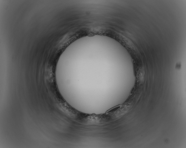 X0000090410764200708031042