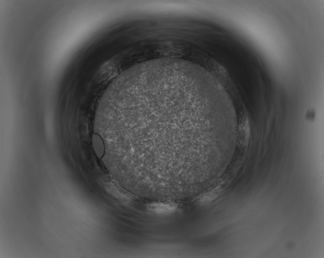 X0000090410765200708031042