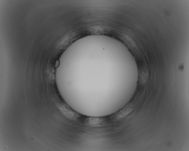 X0000090410766200708031042