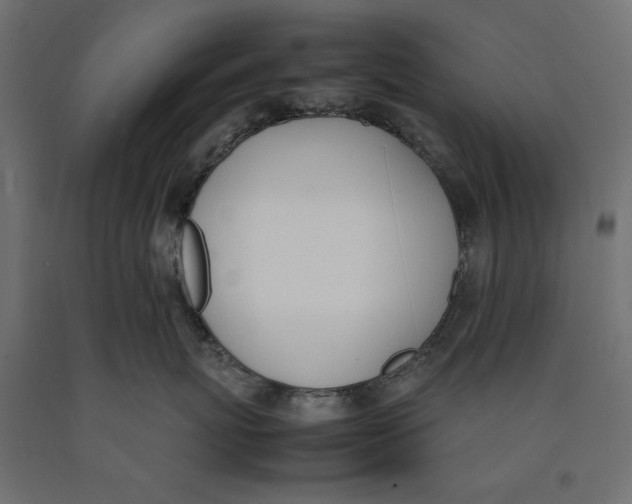 X0000090410767200708031042