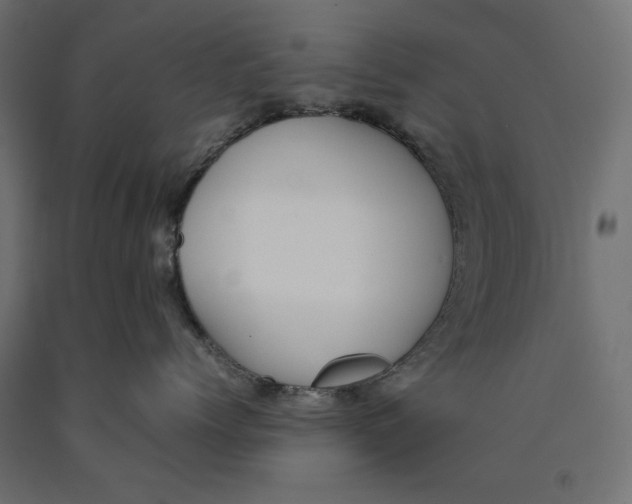 X0000090410768200708031042