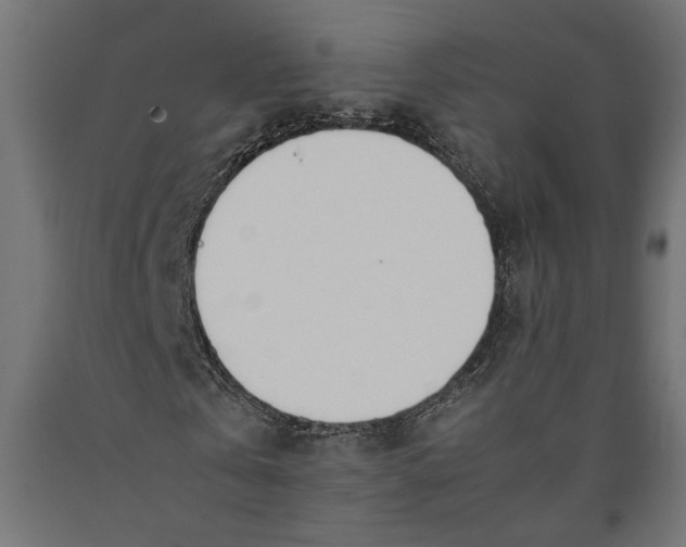 X0000090410769200708031041