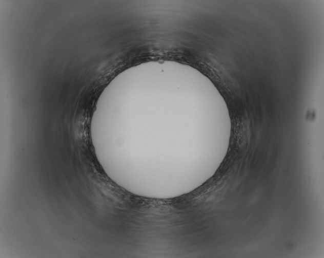 X0000090410770200708031041