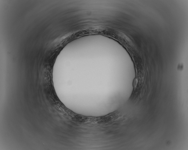 X0000090410773200708031041