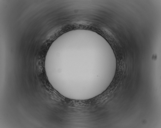 X0000090410774200708031041