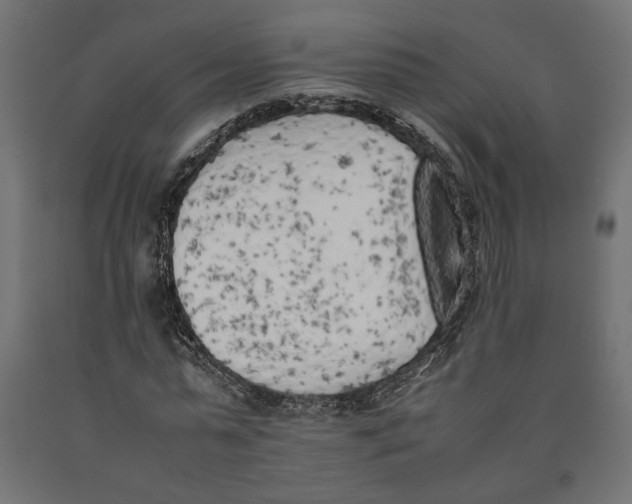 X0000090410775200708031041