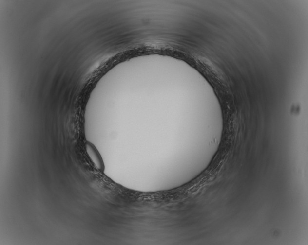 X0000090410776200708031041