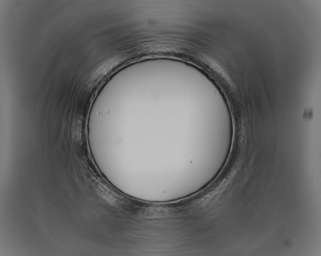 X0000090410777200708031041
