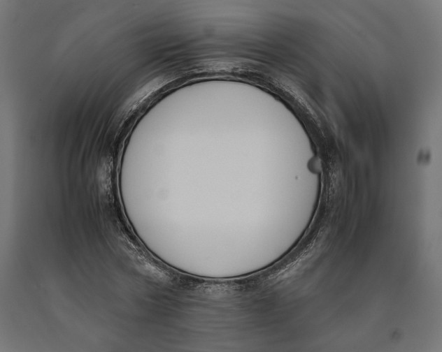 X0000090410778200708031041