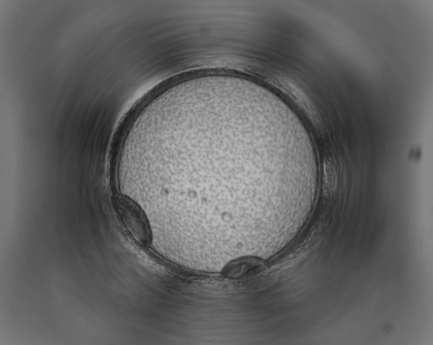 X0000090410780200708031041