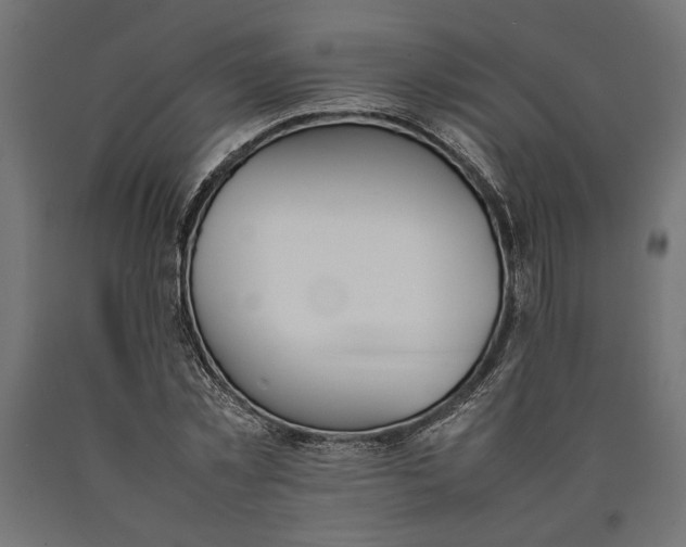 X0000090410781200708031041