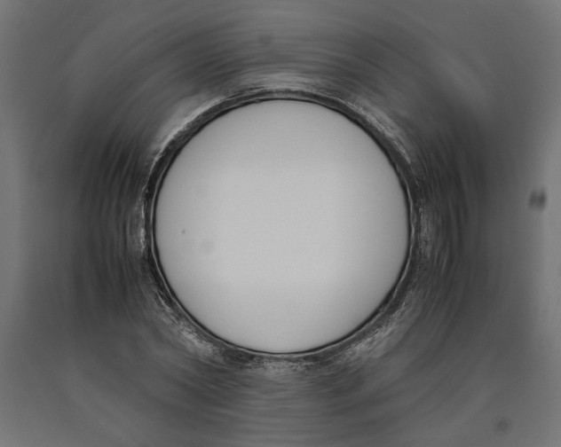 X0000090410782200708031041