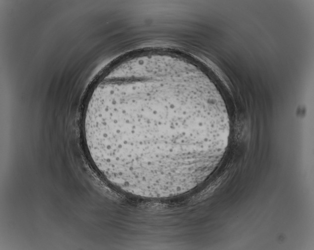 X0000090410783200708031041