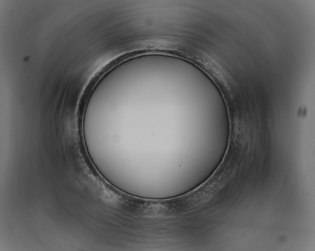 X0000090410784200708031041