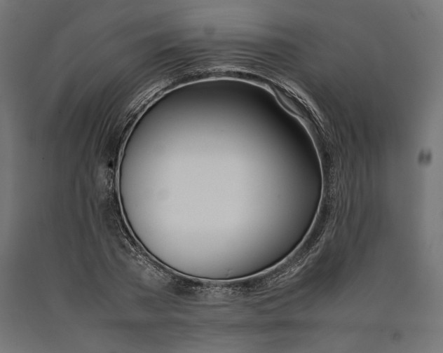 X0000090410785200708031041