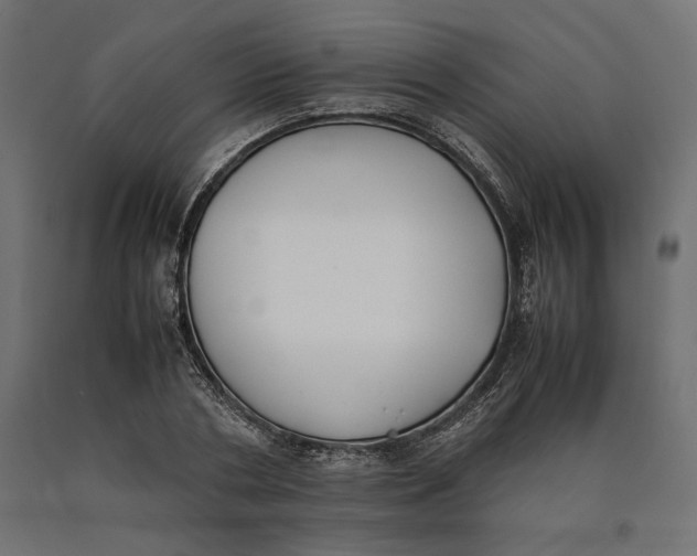 X0000090410786200708031041