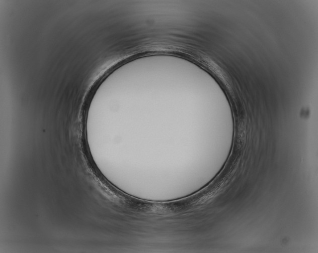 X0000090410787200708031041