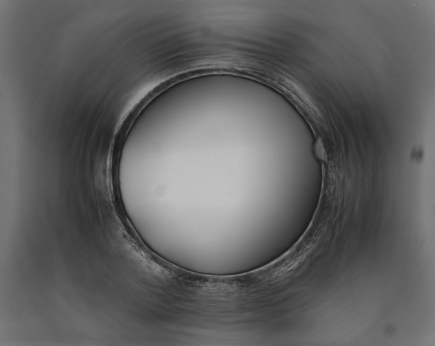 X0000090410788200708031041