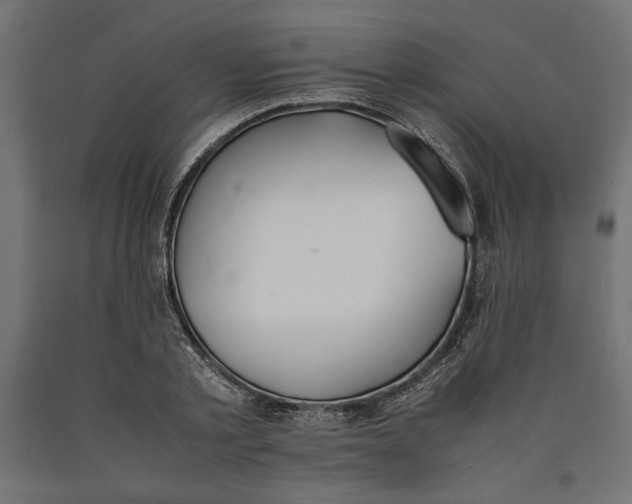 X0000090410789200708031041