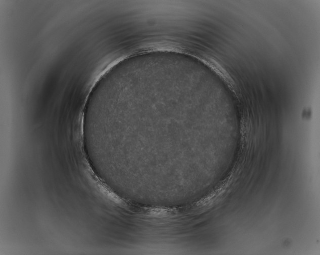 X0000090410790200708031041