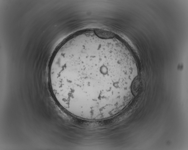 X0000090410791200708031041