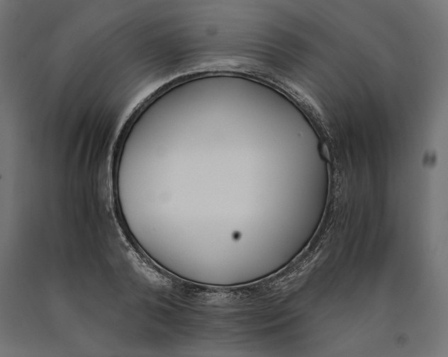 X0000090410792200708031041