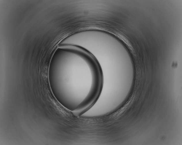 X0000090410793200708031041